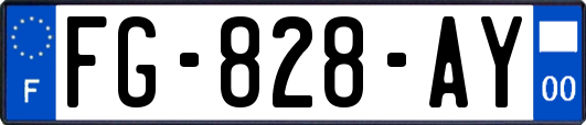 FG-828-AY