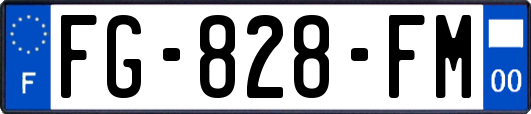 FG-828-FM