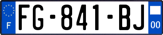 FG-841-BJ