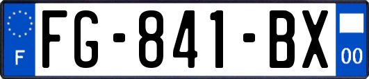 FG-841-BX