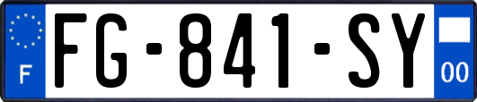 FG-841-SY