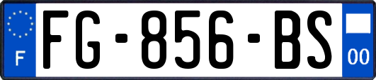 FG-856-BS