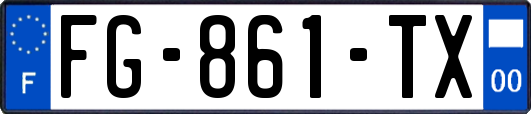 FG-861-TX