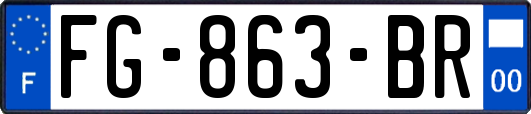 FG-863-BR