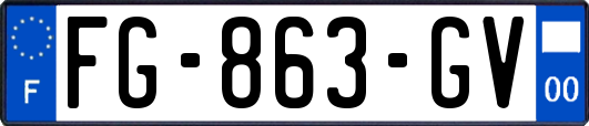 FG-863-GV