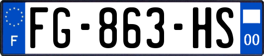 FG-863-HS