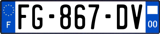 FG-867-DV