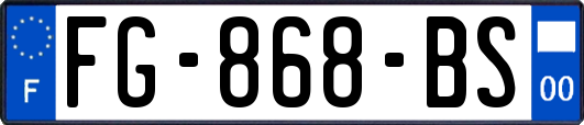 FG-868-BS