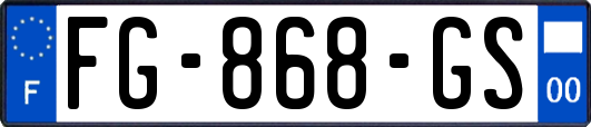 FG-868-GS