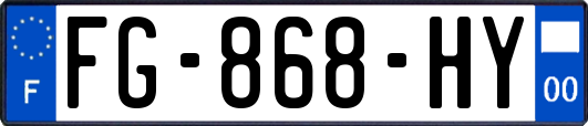 FG-868-HY