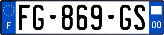 FG-869-GS
