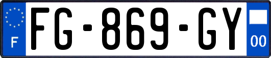 FG-869-GY