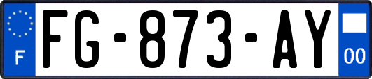 FG-873-AY