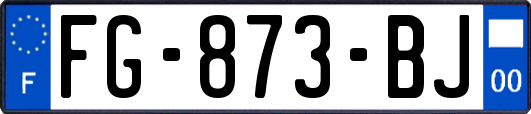 FG-873-BJ