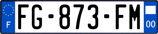 FG-873-FM