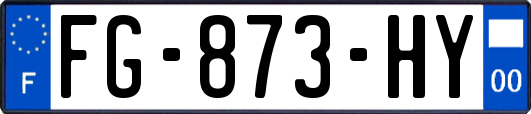 FG-873-HY