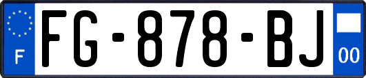 FG-878-BJ