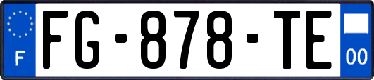 FG-878-TE