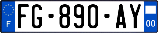 FG-890-AY