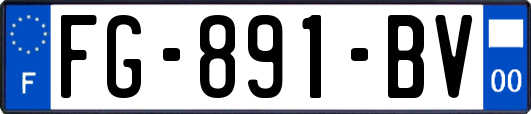 FG-891-BV