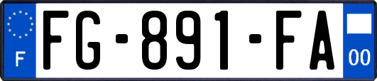 FG-891-FA