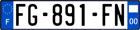 FG-891-FN