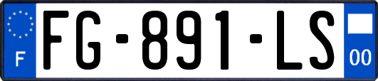 FG-891-LS