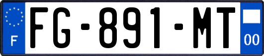 FG-891-MT