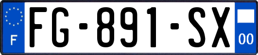 FG-891-SX