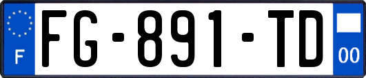 FG-891-TD