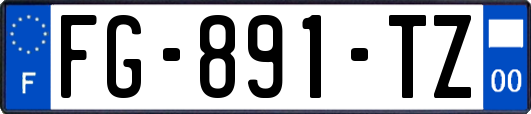 FG-891-TZ