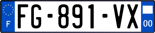 FG-891-VX