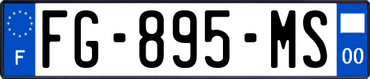 FG-895-MS