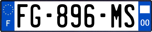 FG-896-MS