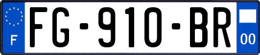 FG-910-BR