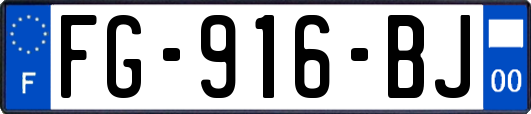 FG-916-BJ