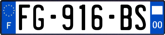 FG-916-BS