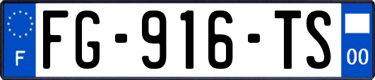 FG-916-TS