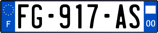 FG-917-AS