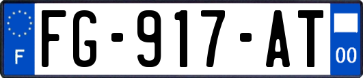 FG-917-AT