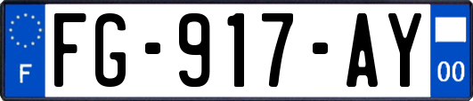 FG-917-AY