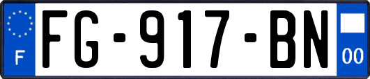 FG-917-BN