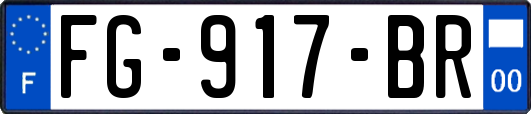 FG-917-BR