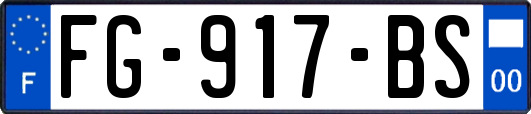 FG-917-BS