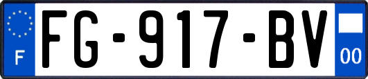 FG-917-BV