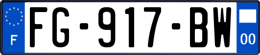 FG-917-BW