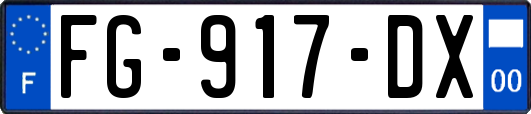 FG-917-DX