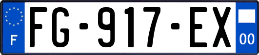 FG-917-EX