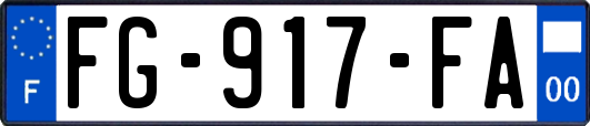 FG-917-FA