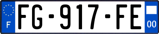 FG-917-FE